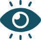 VISION