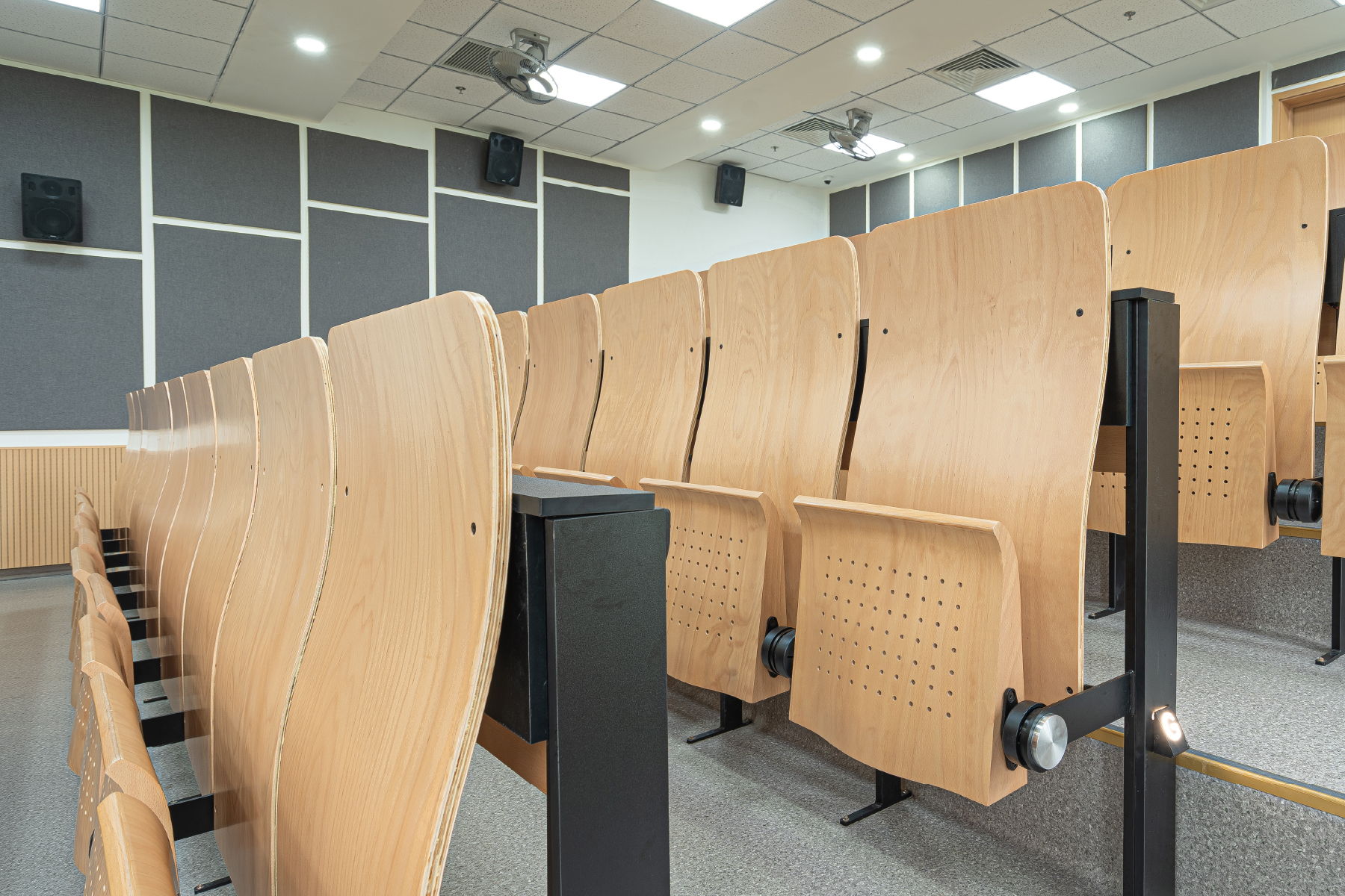 A modern, luxurious auditorium space with RPB Education & Public's ergonomically designed auditorium seating, providing comfort, focus, and international-class standards.